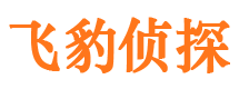 沁阳侦探公司